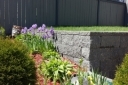Ace Landscapes photo 5